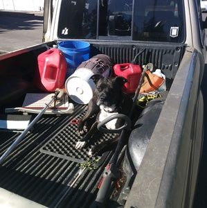 Meet your Posher, Dustin